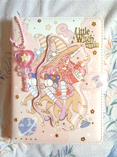 my diary